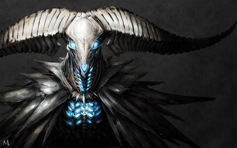 【渗透全身的美】骨骼特辑