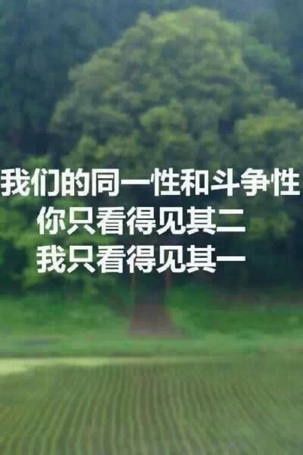 政治 文科生壁纸 文字