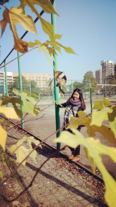 我们的十二月～