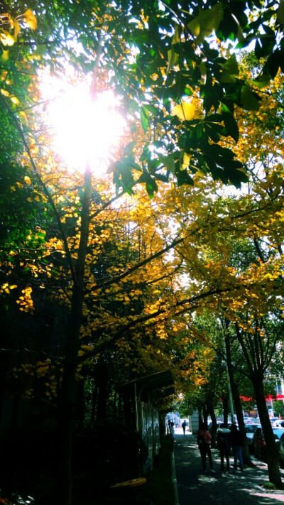 我们的十二月～