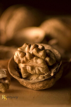 【自然馈赠】核桃