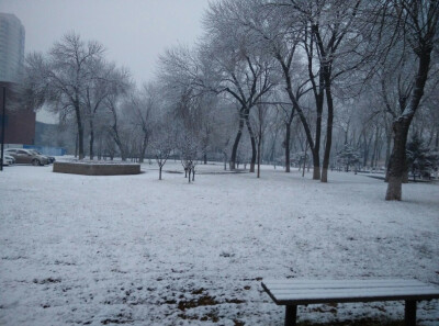 因为一场初雪 觉得整个世界都美好了 不需要许愿 就想对现在的自己说 不要太过于纠结 凡事都会好的 不要太认真 想做什么就去做 不要怕 不要燥 勿忘心安