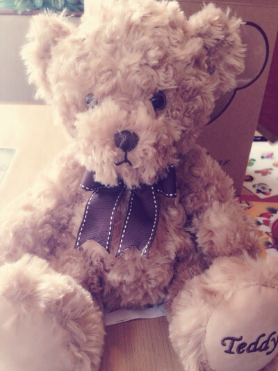 The teddy bear