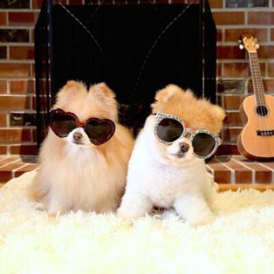 今天的我怎么样