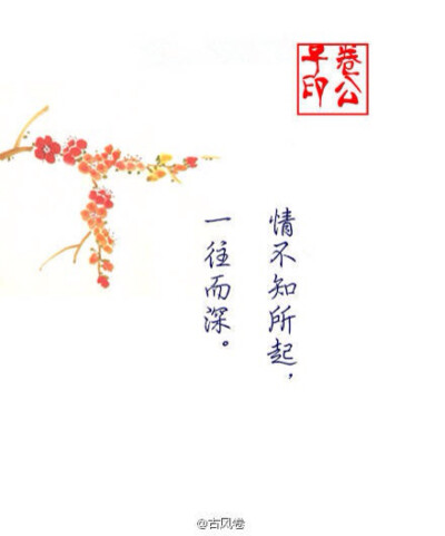 情不知所起，一往而深