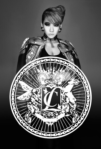 ＣＬ ２ＮＥ１ 队长