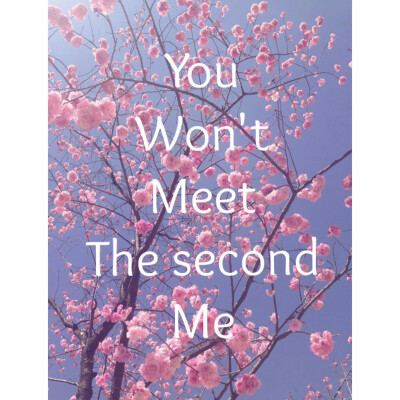 You won't meet the second me