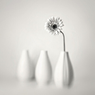 Love makes man grow up or sink down. 爱情，要么让人成熟，要么让人堕落。