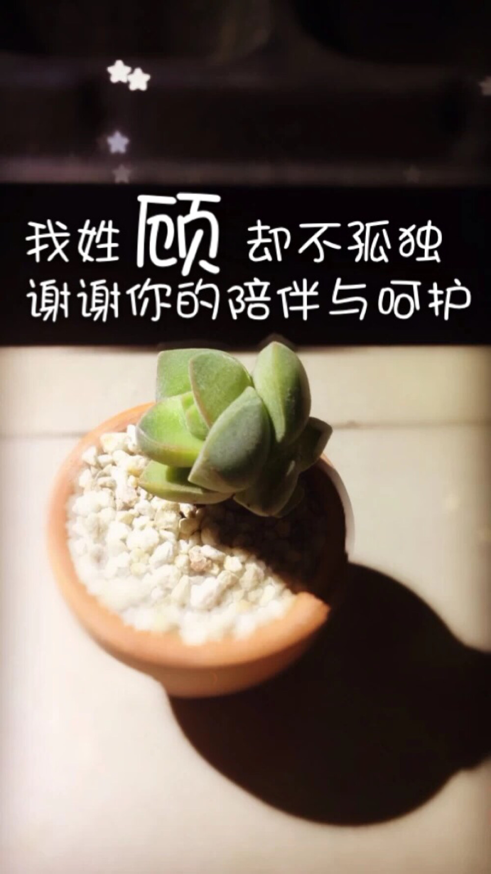 我姓顾却得不到你的眷顾