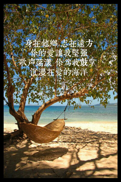 爱的海洋，曲婉婷的歌很棒