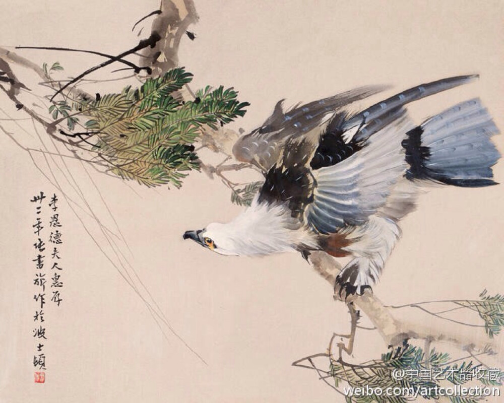 #写意画#【 张书旂 《花鸟图》 】张书旂（1900-1957）的花鸟画，继承了中国画以形写神的传统创作方法。张书旂觉得师古人、师前人莫如师自然更生动。他每于清晨薄暮，蹲身秘处，窥视鸟儿之神态，故所作花鸟画，纯从写生中得来，动作的自然，色彩的正确，乃在写生之外，另有观察的工夫和心中意会的结果。