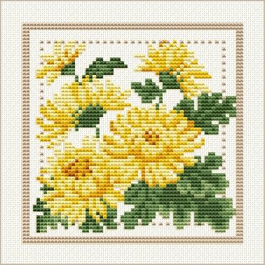 November - Chrysanthemum