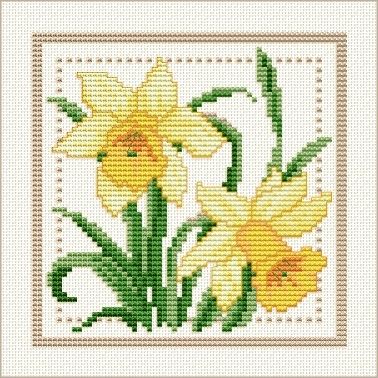 March - Jonquil,