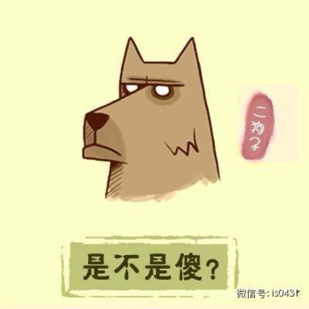 东北人必须知道的15个神兽，及15句口头禅。（豪华版）