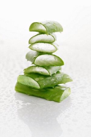 【自然馈赠】芦荟