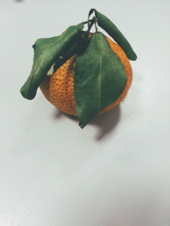 朋友对你苦口婆心的劝说 让你对他趁早死心 说他配不上你的一心一意的等待 你一言不发那是因为你无话可说 你当然明白爱上不该爱的人做了错的决定都该由自己负责 但你被困在期许里无法自拔也不是你的错 你比任何人都想脱离 去爱一个值得的人 可每当他重新出现的时候……