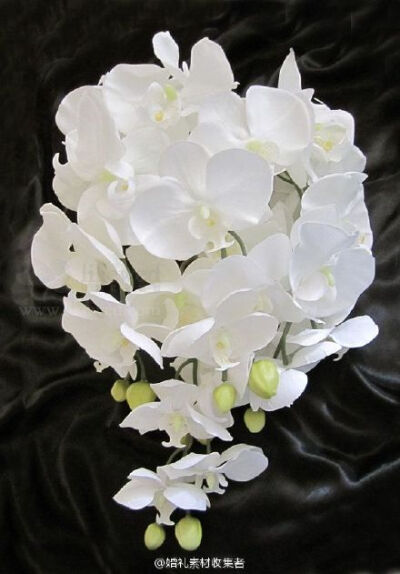 白蝴蝶兰为素材的捧花