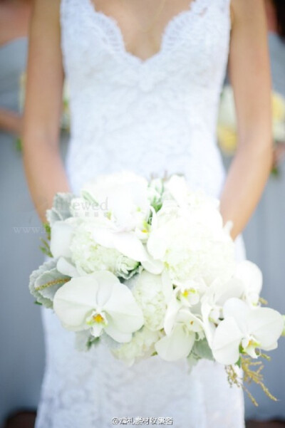 白蝴蝶兰为素材的捧花