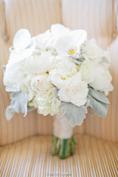 白蝴蝶兰为素材的捧花