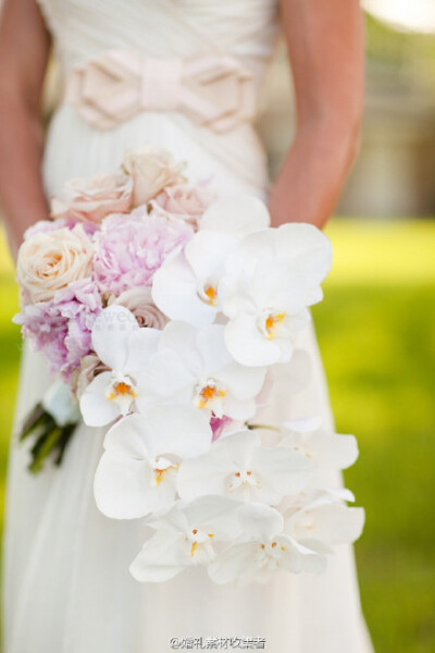 白蝴蝶兰为素材的捧花