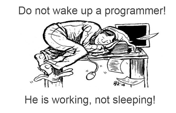 do not weak up a programmer