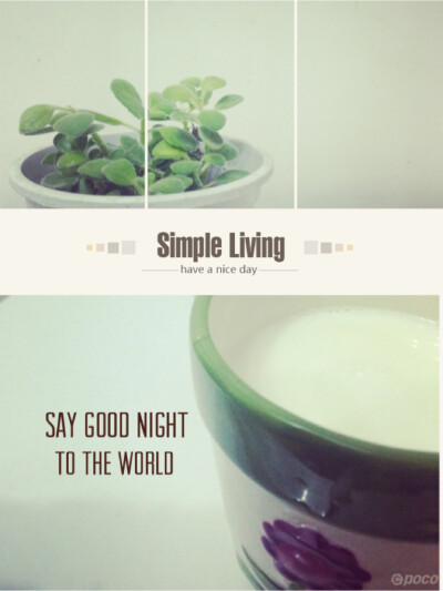 good night