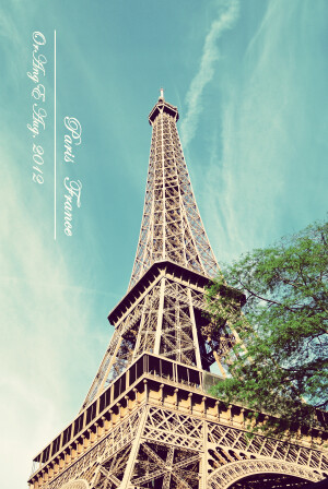 法国 巴黎 埃菲尔铁塔