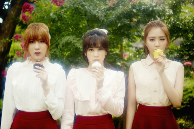 Apink LUV