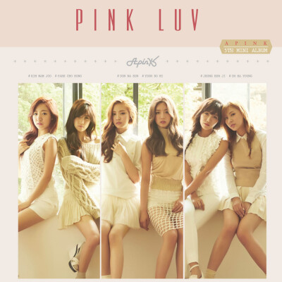 Apink LUV