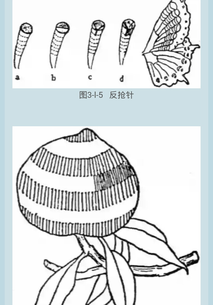 苏绣平针4