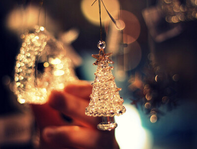 #DECEMBER #CHRISTMAS#CHRISTMAS TREE