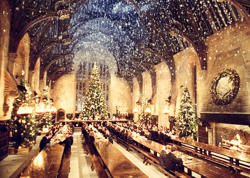 #DECEMBER #CHRISTMAS #Harry Potter