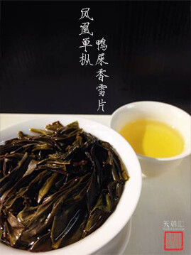 若只是初见 凤凰单枞 鸭屎香 雪片 茶 摄影 微距 中国风 茶叶 茶汤 叶底 【一泡好茶，一份闲情。好图好文，你我共享。 天朝汇下午茶时间，与您一起说说在路上的那些事情。 扎西德勒，卡瓦博格。 我知道，远方的雪山，…