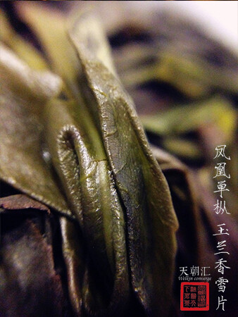 凤凰单枞 玉兰 雪片 茶 天朝汇 摄影 微距 茶汤 茶叶 叶底 雪 冬 【一泡好茶，一份闲情。好图好文，你我共享。 天朝汇下午茶时间，与您一起说说在路上的那些事情。 扎西德勒，卡瓦博格。 我知道，远方的雪山，在等待…