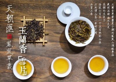 凤凰单枞 玉兰 雪片 茶 天朝汇 摄影 微距 茶汤 茶叶 叶底 雪 冬 【一泡好茶，一份闲情。好图好文，你我共享。 天朝汇下午茶时间，与您一起说说在路上的那些事情。 扎西德勒，卡瓦博格。 我知道，远方的雪山，在等待…