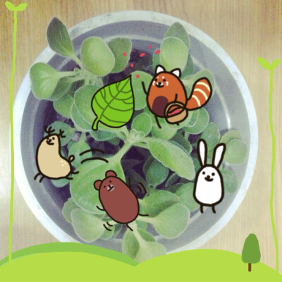 早安