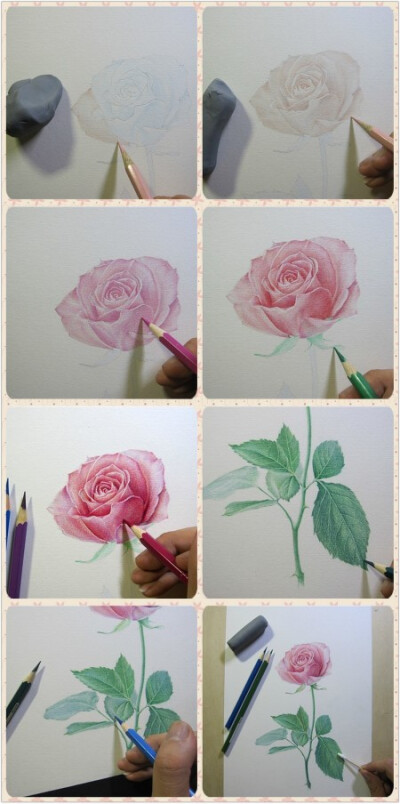 玫瑰画法 彩铅