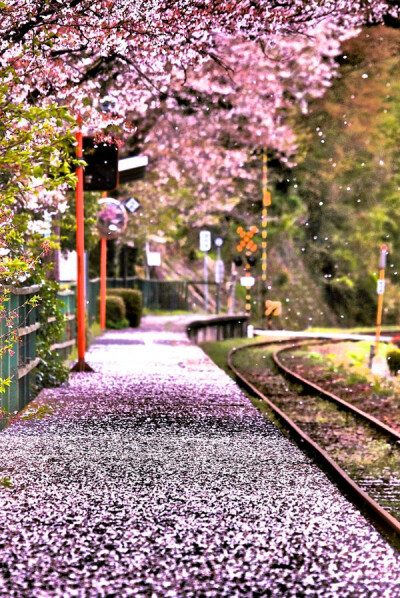 Baishinji,Ehime,Japan。日本爱媛县爱媛县松山市梅津寺町铁路车站，隶属于伊予铁道（伊予铁），最初为临时站，1931年获升格为常设站。车站建筑于海岸线旁，其中向海的2号月台，是日剧《东京爱情故事》的其中一个著名…