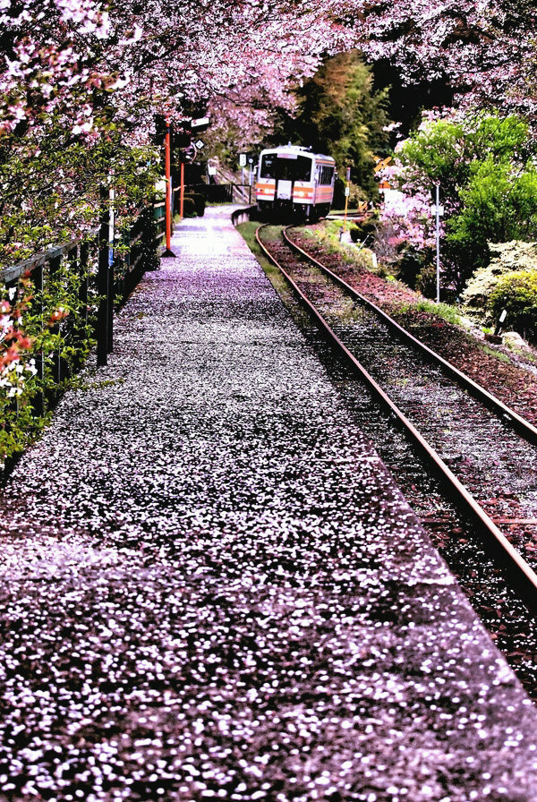 Baishinji,Ehime,Japan。日本爱媛县爱媛县松山市梅津寺町铁路车站，隶属于伊予铁道（伊予铁），最初为临时站，1931年获升格为常设站。车站建筑于海岸线旁，其中向海的2号月台，是日剧《东京爱情故事》的其中一个著名场景，是东爱迷的朝圣处，不少情侣会仿效剧场，将一条手帕缚在月台的栏杆上，而月台上亦竖立了纪念牌。