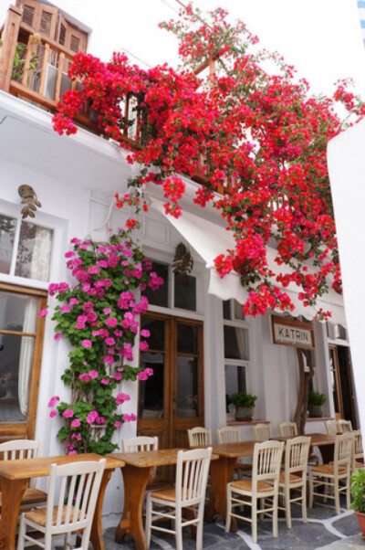 巴黎 - 蒙马特 迷人的法国餐厅 Small, intimate and charming French restaurant ~ As beautiful outside as it is inside. Paris - Montmartre.