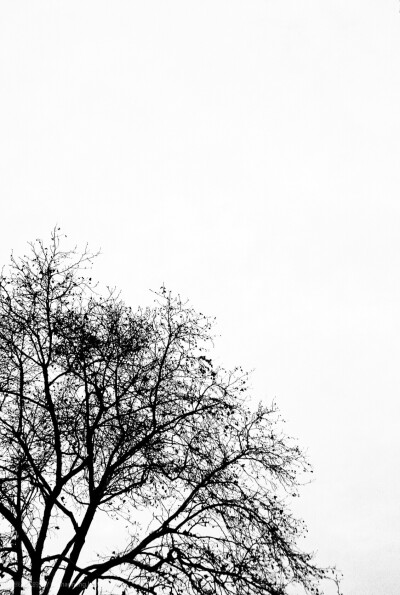 我的世界，早安