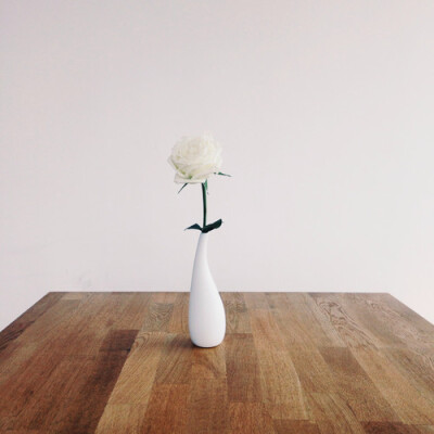 我的梦里有棵树 还有她