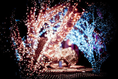 美好都犹如流星般美丽易逝。