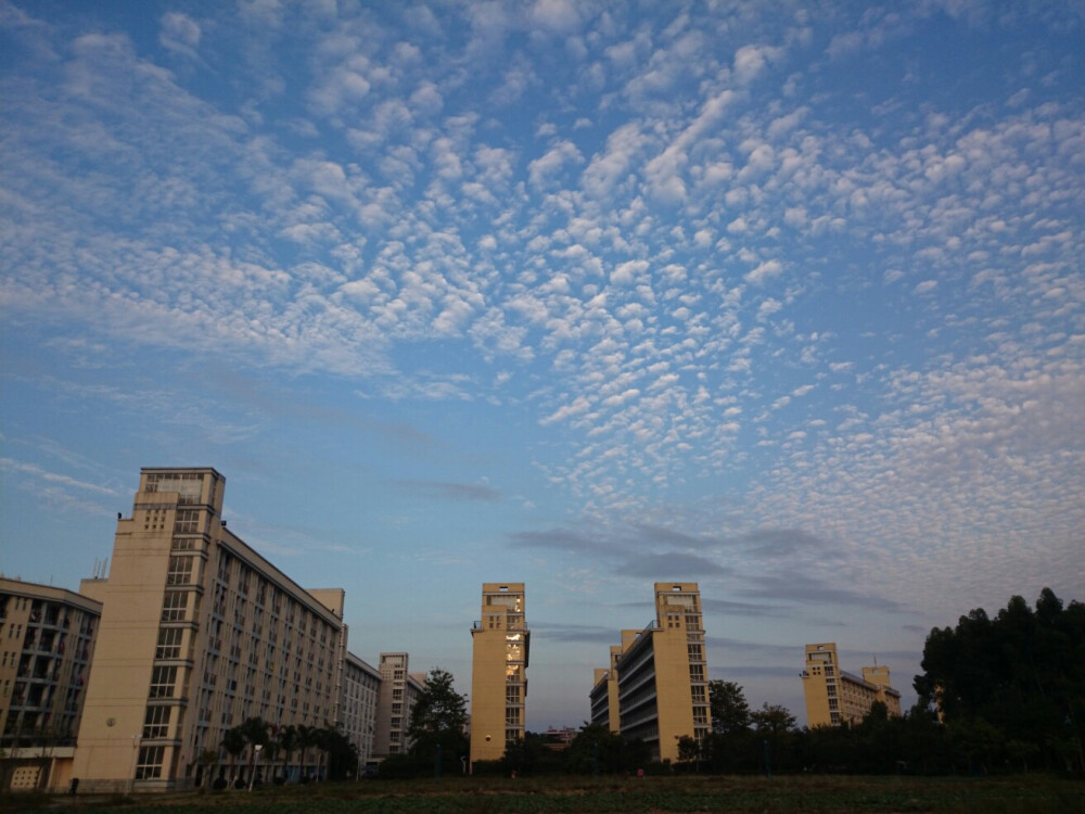 学校！宿舍！但是，不是我们住的楼！