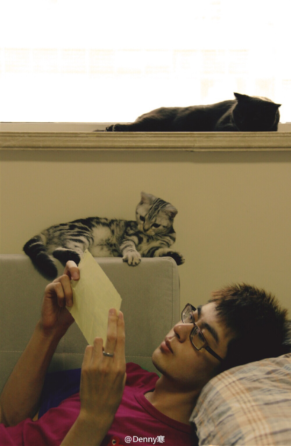 爱死了的小二辉和寒总✨