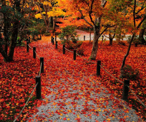 放学回家走过的小路。