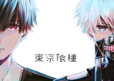 金木研 东京喰种 非原创 侵删致歉