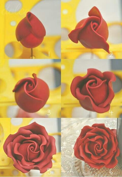 浪漫的玫瑰花，哪怕是在寒冬也能给你心爱的他（她）一个惊喜【阿画】