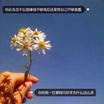 何必念念不忘是嫌他不够残忍还是怪自己不够愚蠢 你给我一巴掌我问你手为什么这么凉