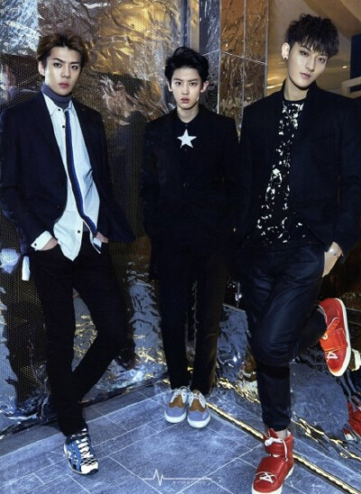 EXO 吴世勋 Sehun 朴灿烈 Chanyeol 黄子韬 Tao 《THE CELEBRITY》1月刊杂志扫图